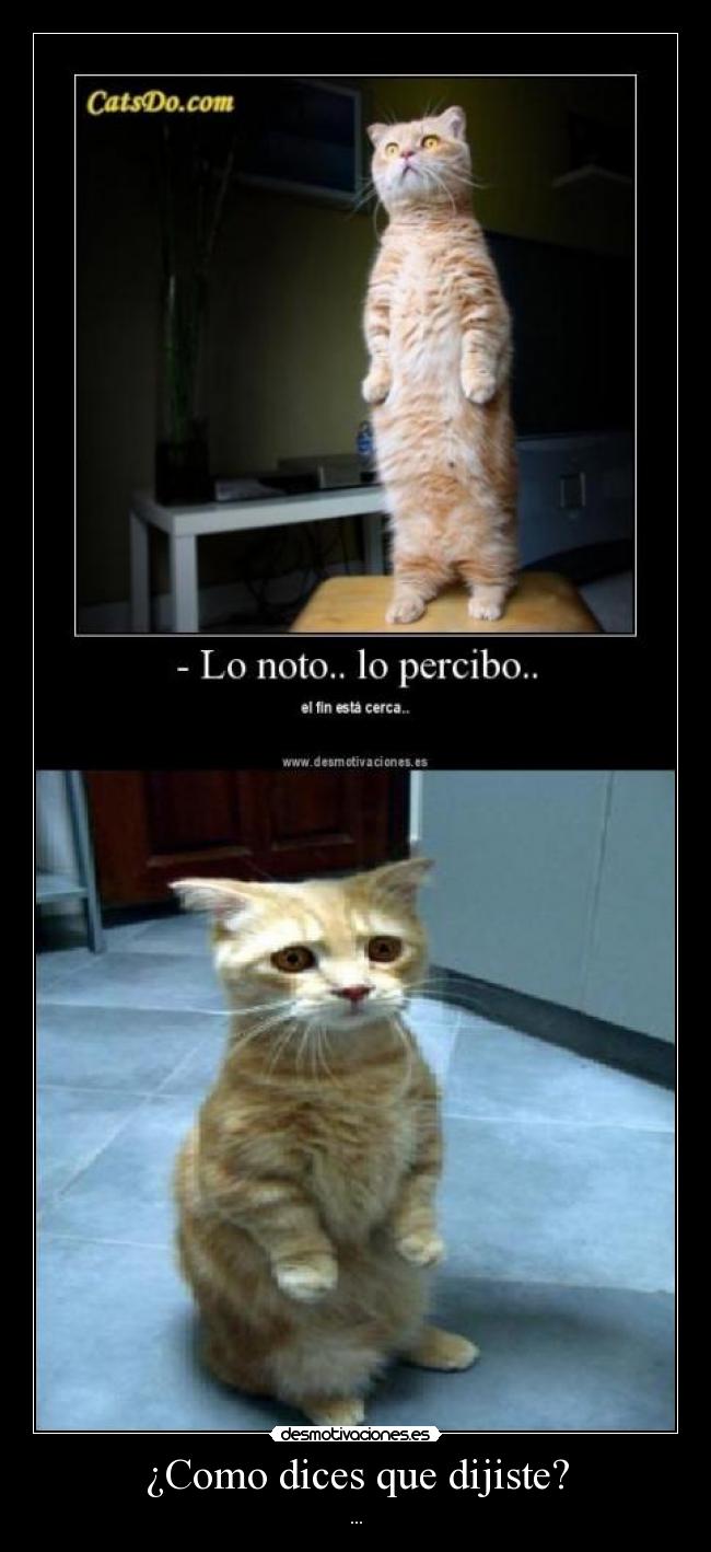 ¿Como dices que dijiste? - 