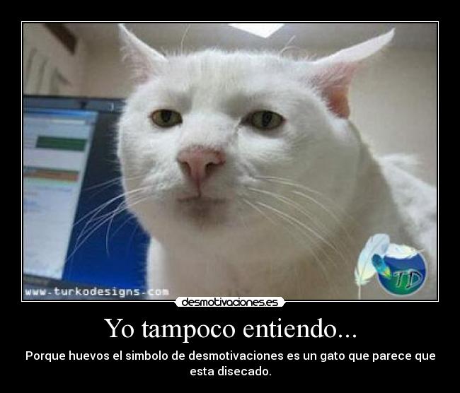 Yo tampoco entiendo... -