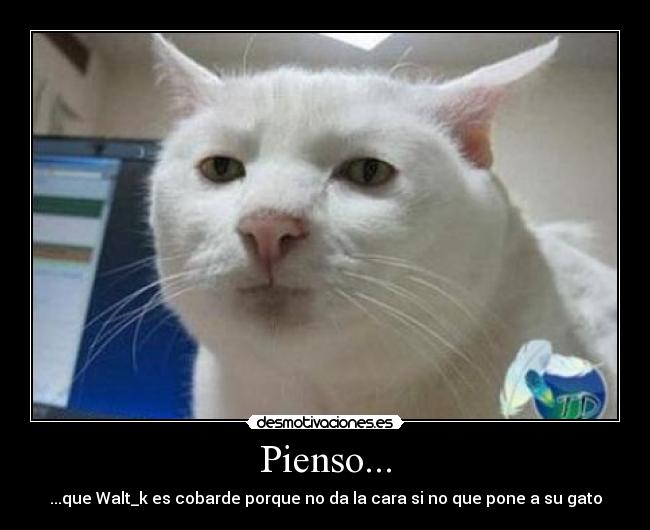 Pienso... - ...que Walt_k es cobarde porque no da la cara si no que pone a su gato