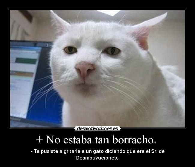 + No estaba tan borracho.  - - Te pusiste a gritarle a un gato diciendo que era el Sr. de Desmotivaciones. 