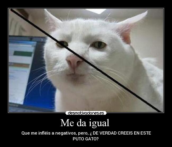 Me da igual - Que me infléis a negativos, pero, ¿ DE VERDAD CREEIS EN ESTE
PUTO GATO?
