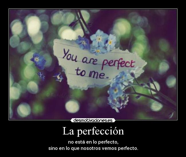 carteles desmotivacionesperfectovemossinonosotrosperfeccion desmotivaciones