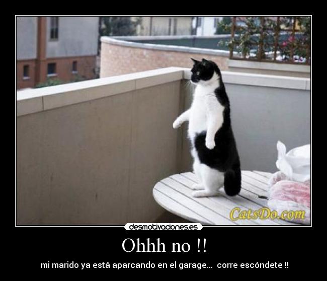 Ohhh no !! -  mi marido ya está aparcando en el garage...  corre escóndete !!