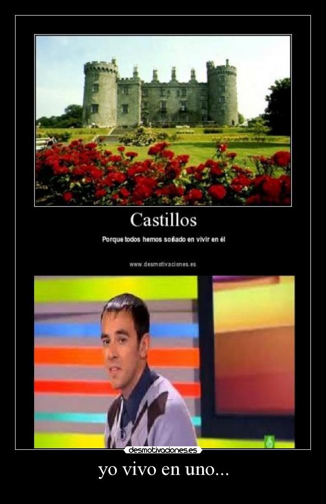 carteles castillo mentiroso slqh desmotivaciones