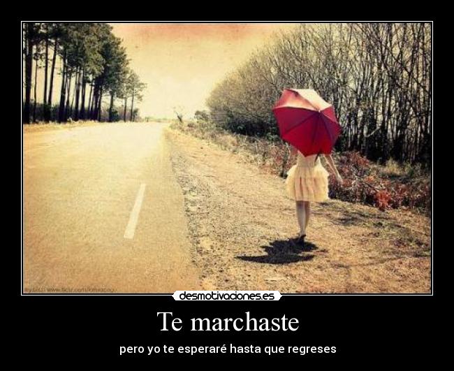 Te marchaste - 