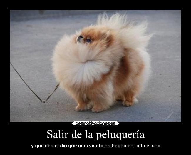 Salir de la peluquería -