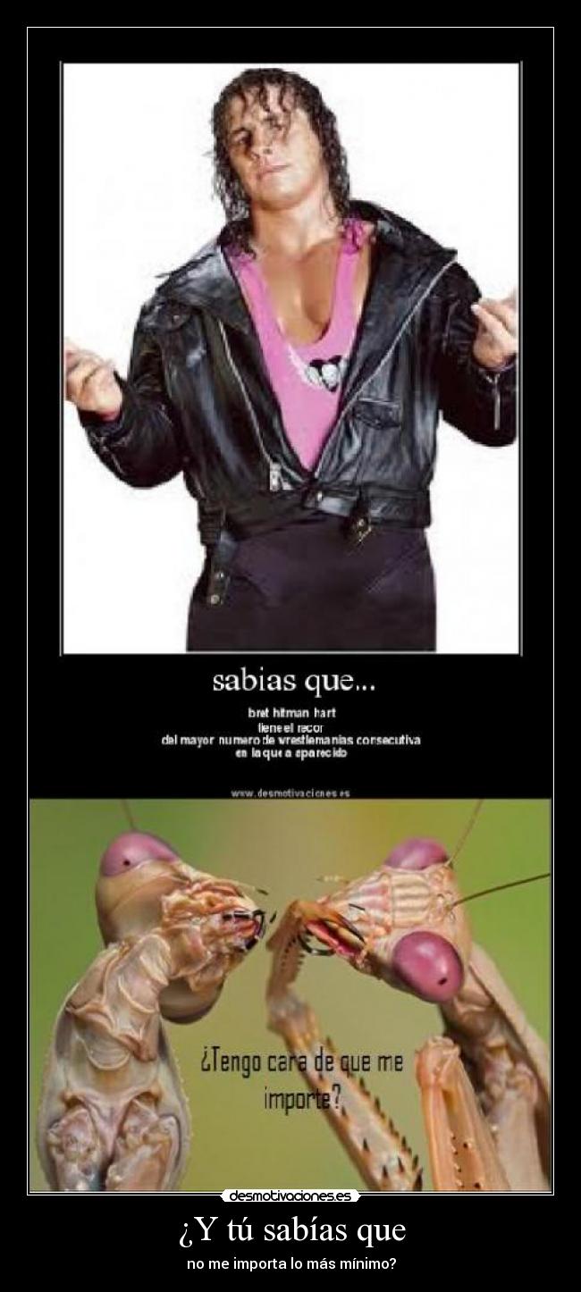 ¿Y tú sabías que - no me importa lo más mínimo?