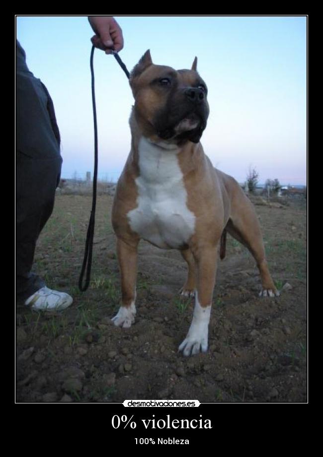 0% violencia - 100% Nobleza