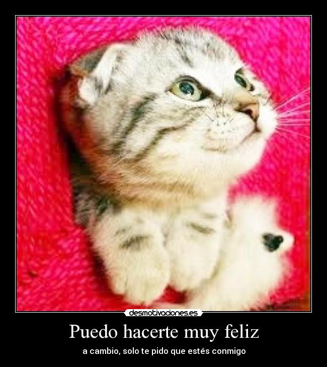 Puedo hacerte muy feliz - 