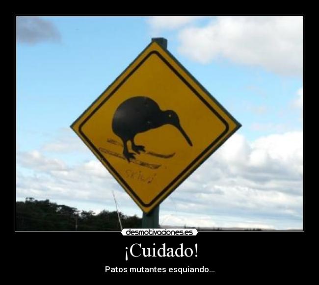 ¡Cuidado! - Patos mutantes esquiando...