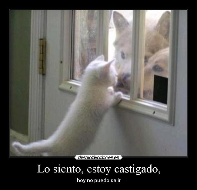 Lo siento, estoy castigado, - 