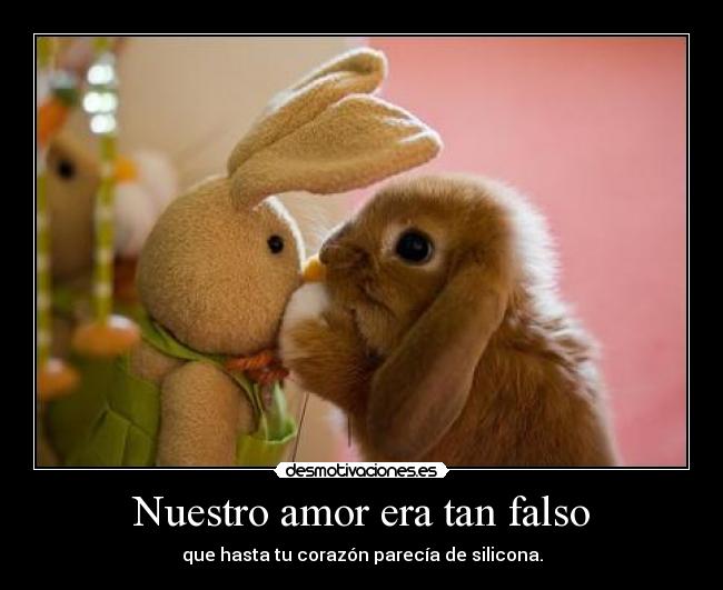 Nuestro amor era tan falso -