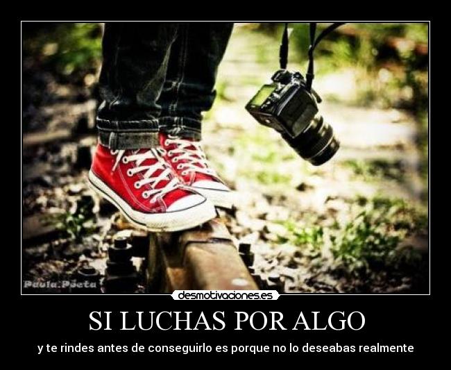 carteles luchas por algo desmotivaciones