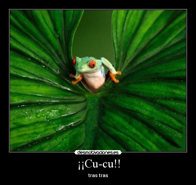 ¡¡Cu-cu!! - 