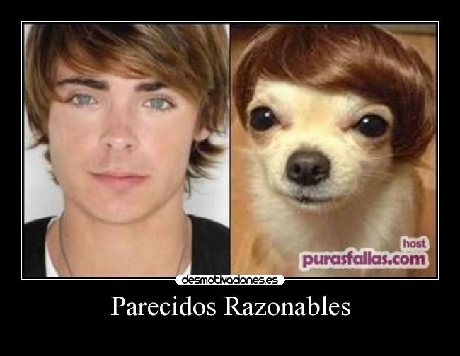 Parecidos Razonables - 