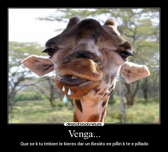 Venga... - Que se k tu tmbien le kieres dar un Besiito ee pillin k te e pillado