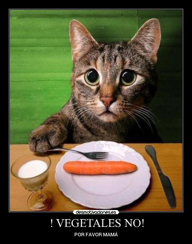 ! VEGETALES NO! -