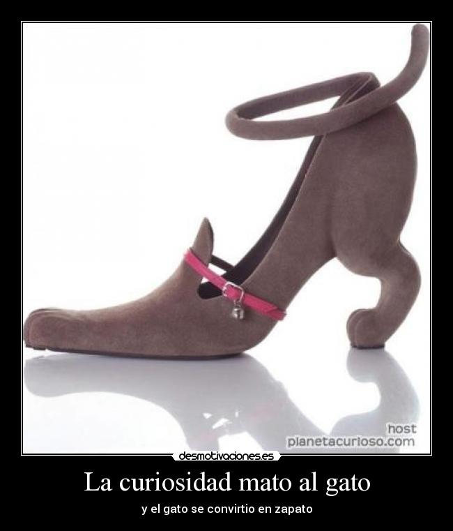 La curiosidad mato al gato -