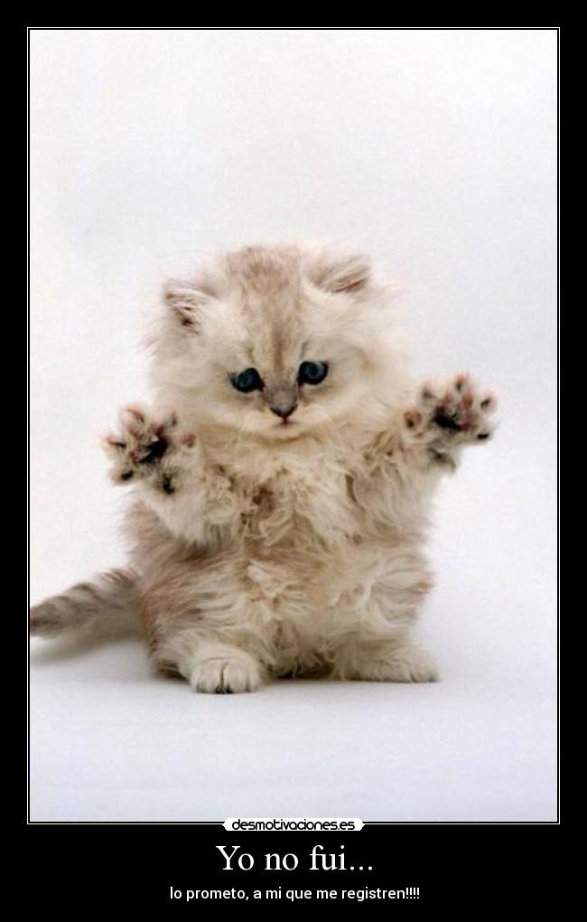 Yo no fui... - 
