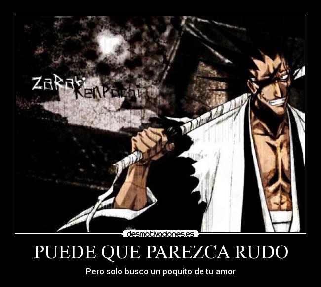 PUEDE QUE PAREZCA RUDO -