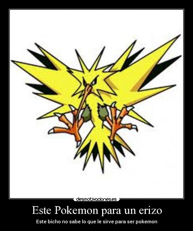 Este Pokemon para un erizo - Este bicho no sabe lo que le sirve para ser pokemon