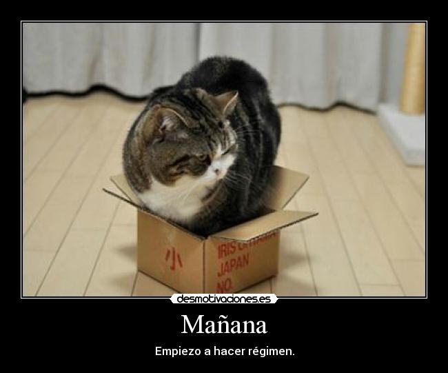 Mañana - Empiezo a hacer régimen.