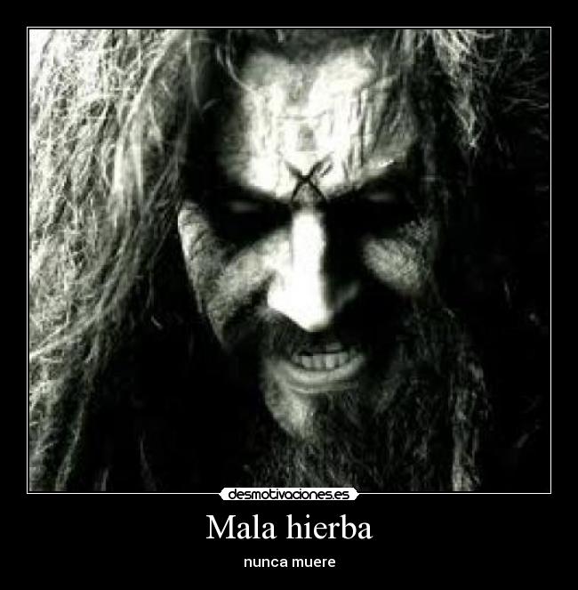 Mala hierba - nunca muere