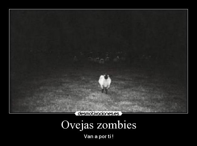 Ovejas zombies - Van a por ti !