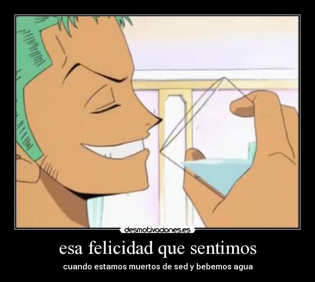 carteles felicidad sed agua beber anime manga one piece zoro verde moco desmotivaciones