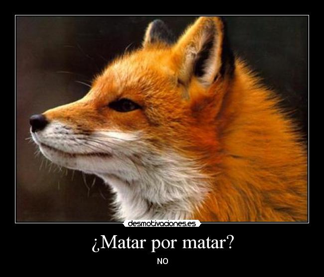 ¿Matar por matar? -