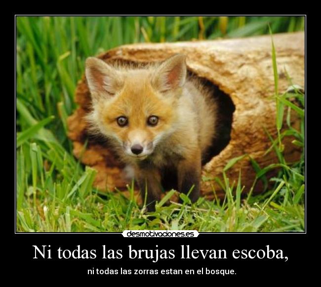 Ni todas las brujas llevan escoba, -  ni todas las zorras estan en el bosque.