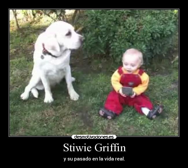 Stiwie Griffin -