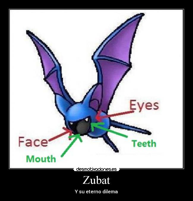 Zubat - Y su eterno dilema