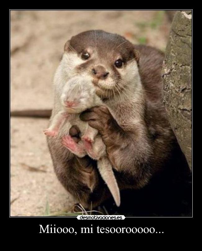 Miiooo, mi tesoorooooo... -