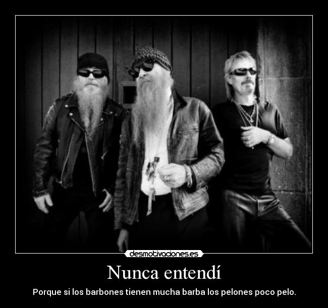 Nunca entendí - Porque si los barbones tienen mucha barba los pelones poco pelo.