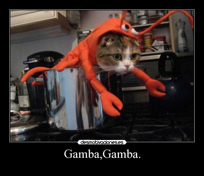 Gamba,Gamba. -