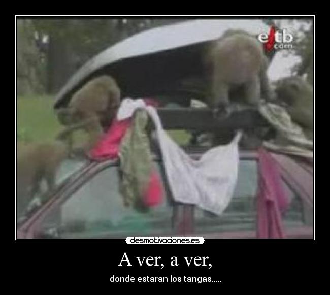 carteles mokas desmotivaciones