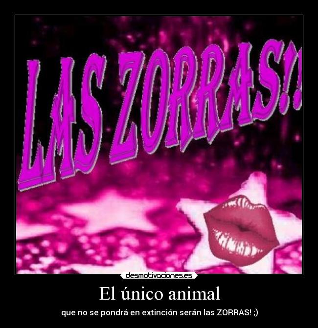 El único animal -