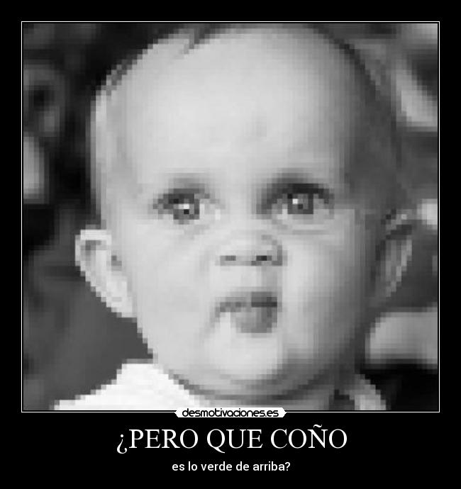 ¿PERO QUE COÑO -