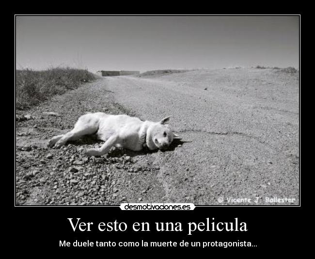 carteles perros desmotivaciones