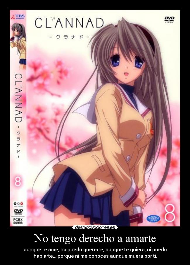 No tengo derecho a amarte - 