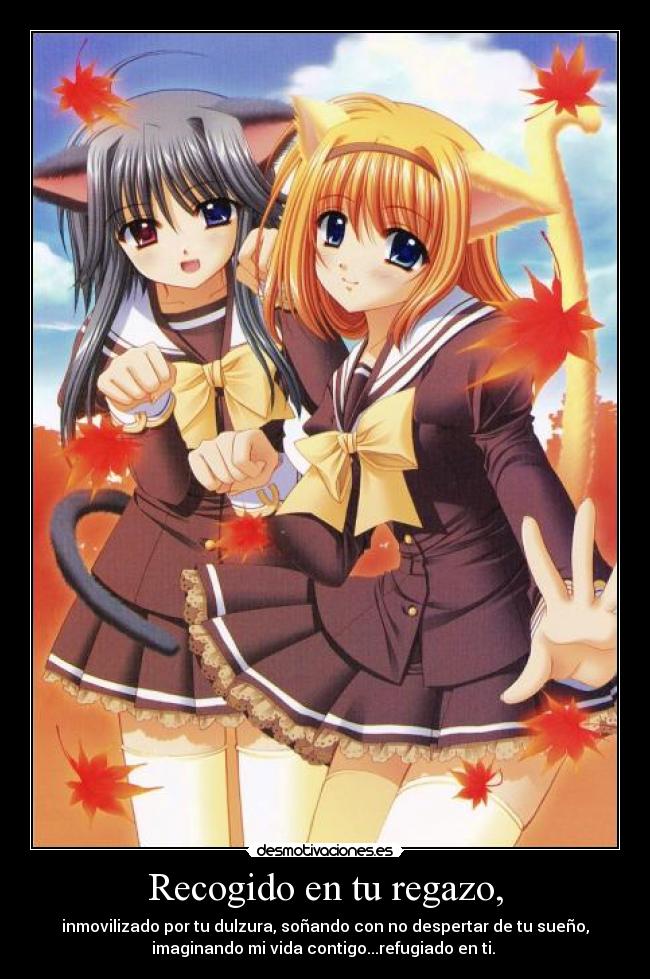 Recogido en tu regazo, -