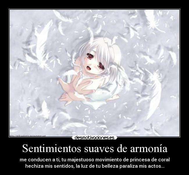 Sentimientos suaves de armonía -