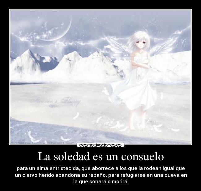 La soledad es un consuelo - 