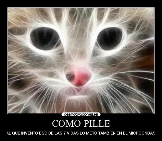 COMO PILLE -