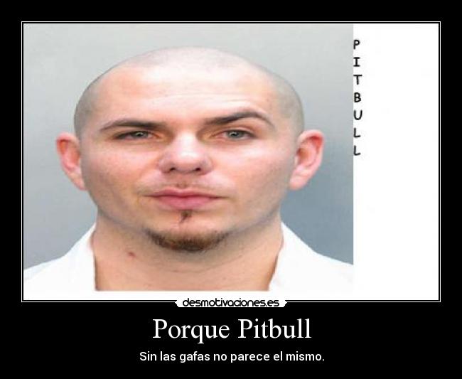 Porque Pitbull - 