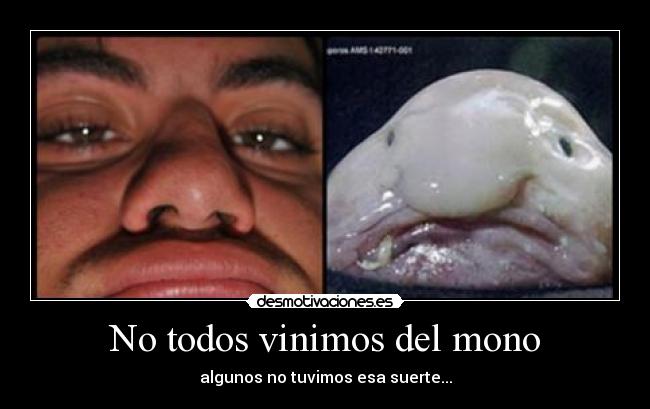 No todos vinimos del mono -