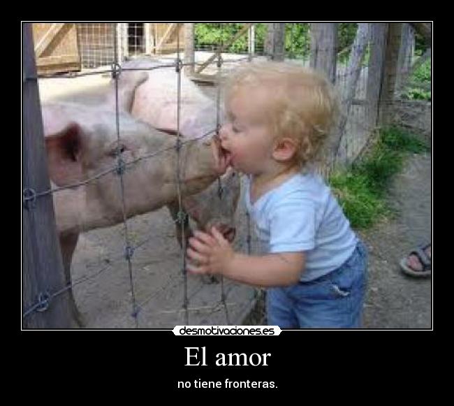 El amor -