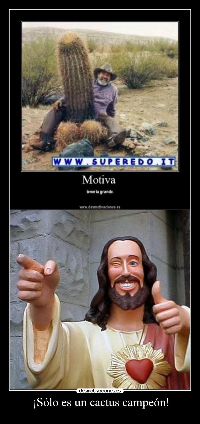 ¡Sólo es un cactus campeón! -