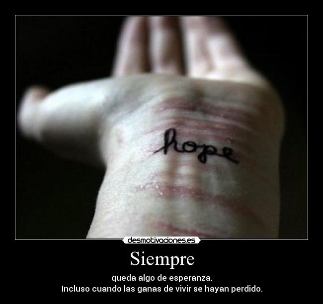 Siempre - 